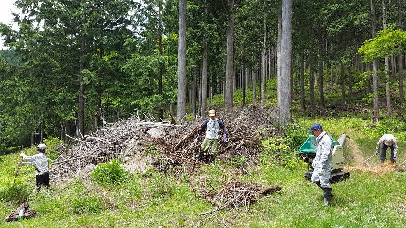 飯島町の森・再生プロジェクト